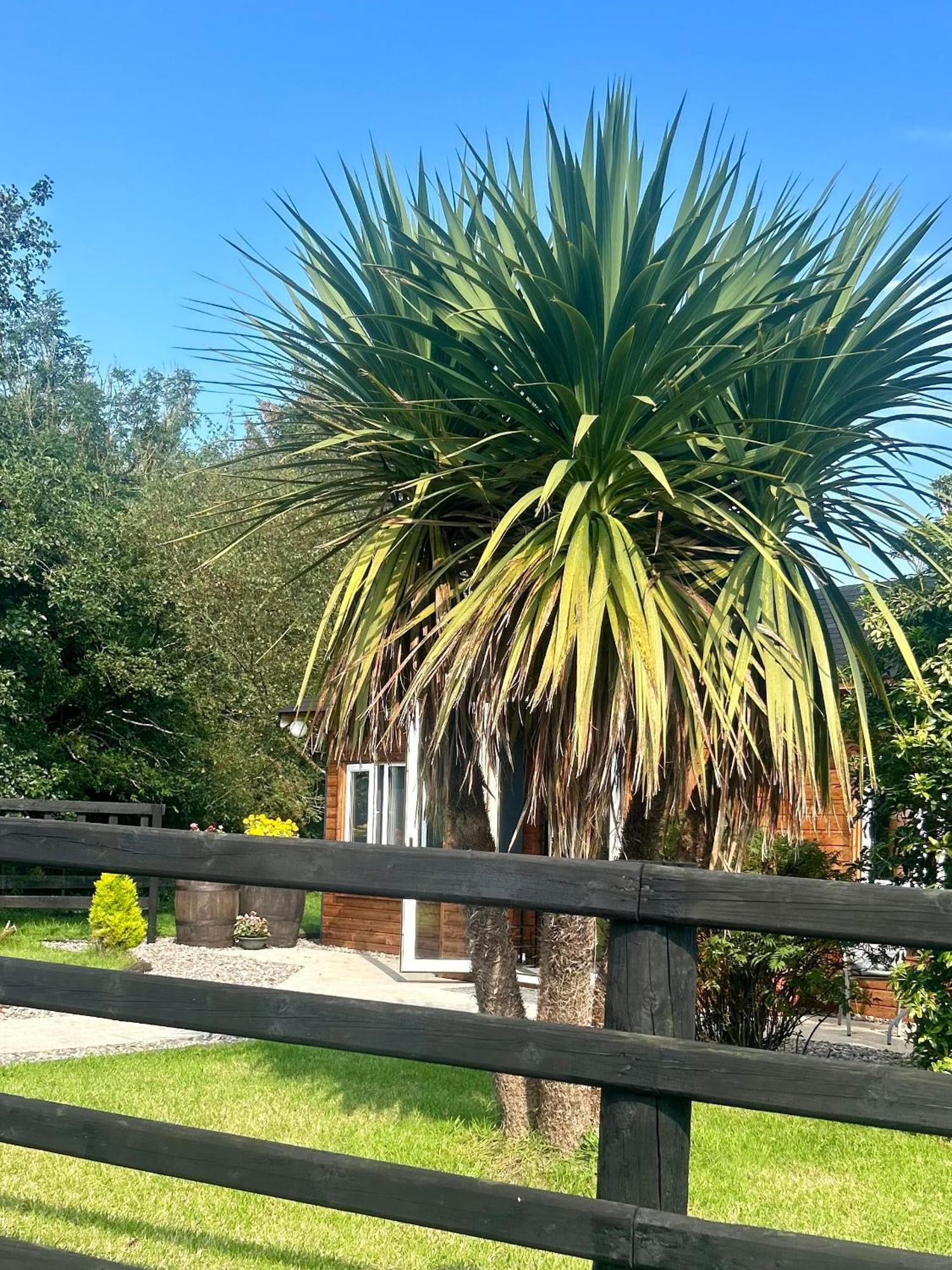 Omagh Villa Sixmilecross Exteriör bild